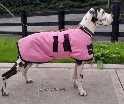 Size 85 baby pink &amp; black trim - Oversized females/female mix breed/Deerhound)