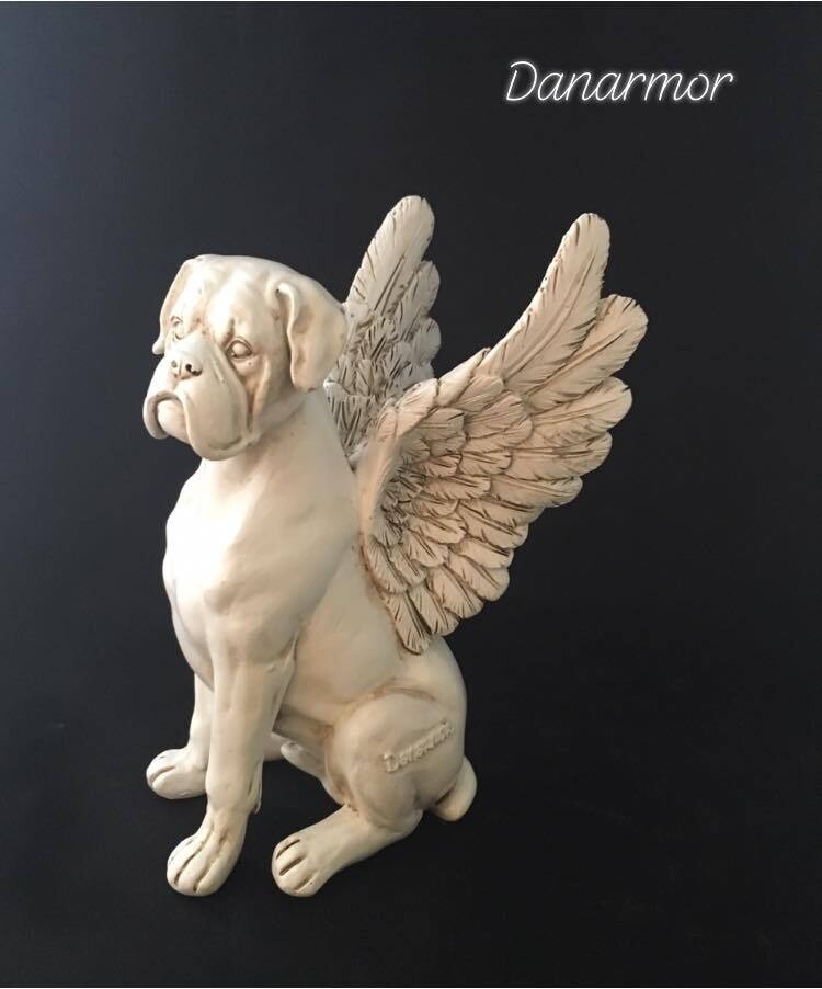 Boxer Angel