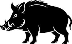 Pure Boar