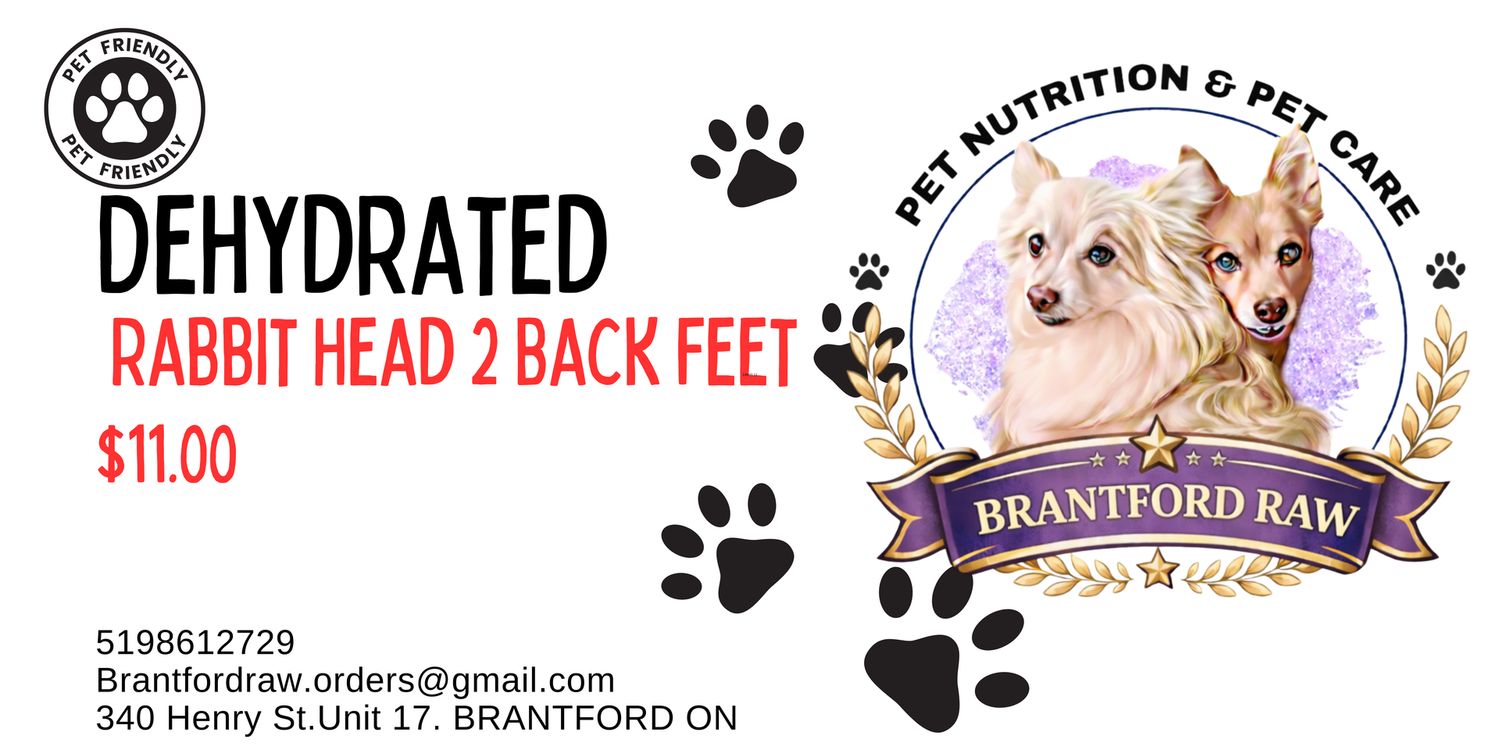 Dehydrated Rabbit Head 2 Back feet