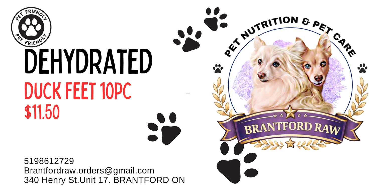 Dehydrated Duck Feet 10pc