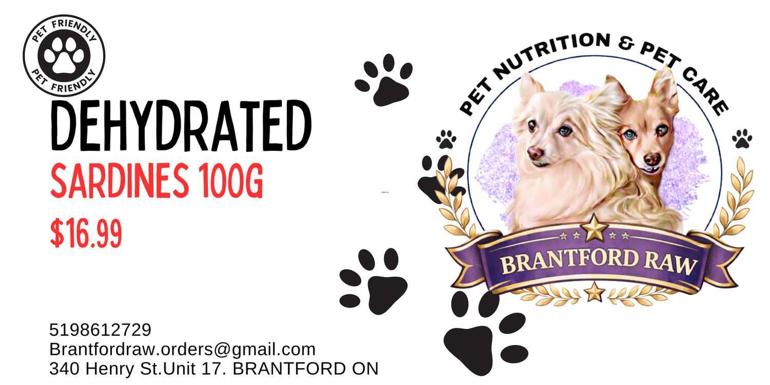 Dehydrated Sardines 100g