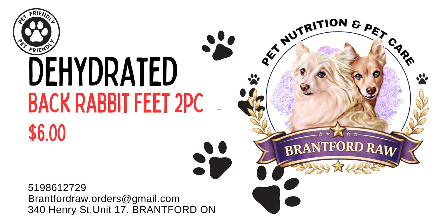 Dehydrated Back Rabbit Feet 2pc