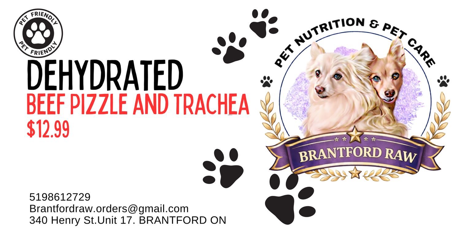 Dehydrated Beef Pizzle and Trachea