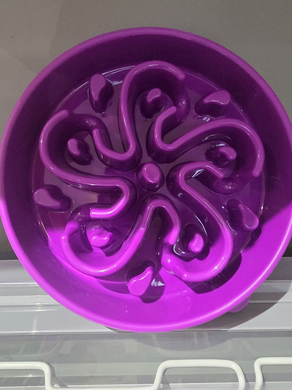 Outward Hound® Fun Feeders Purple