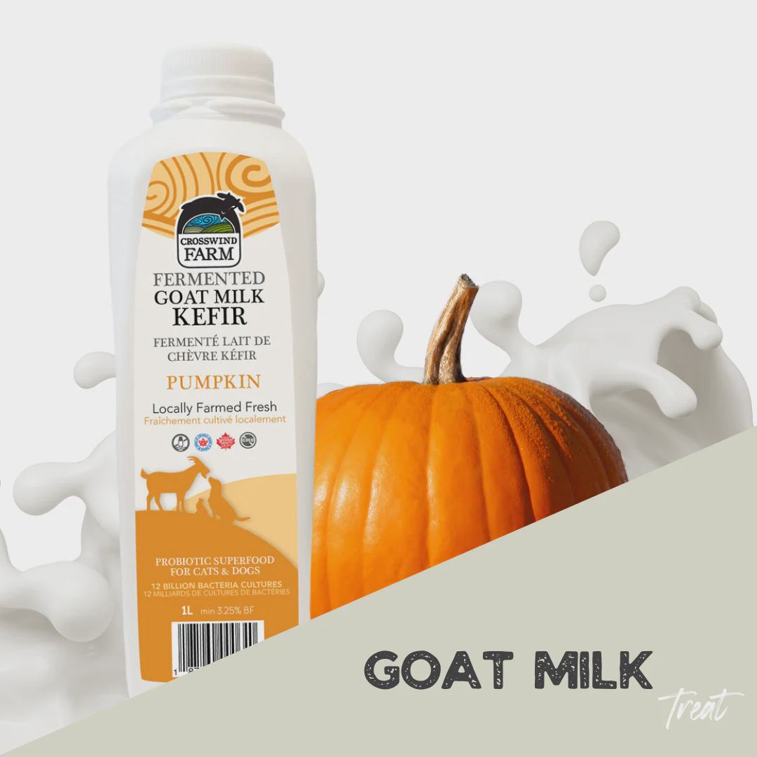 Crosswind Farm Frozen Fermented Goat Milk Kefir Pumpkin 1L