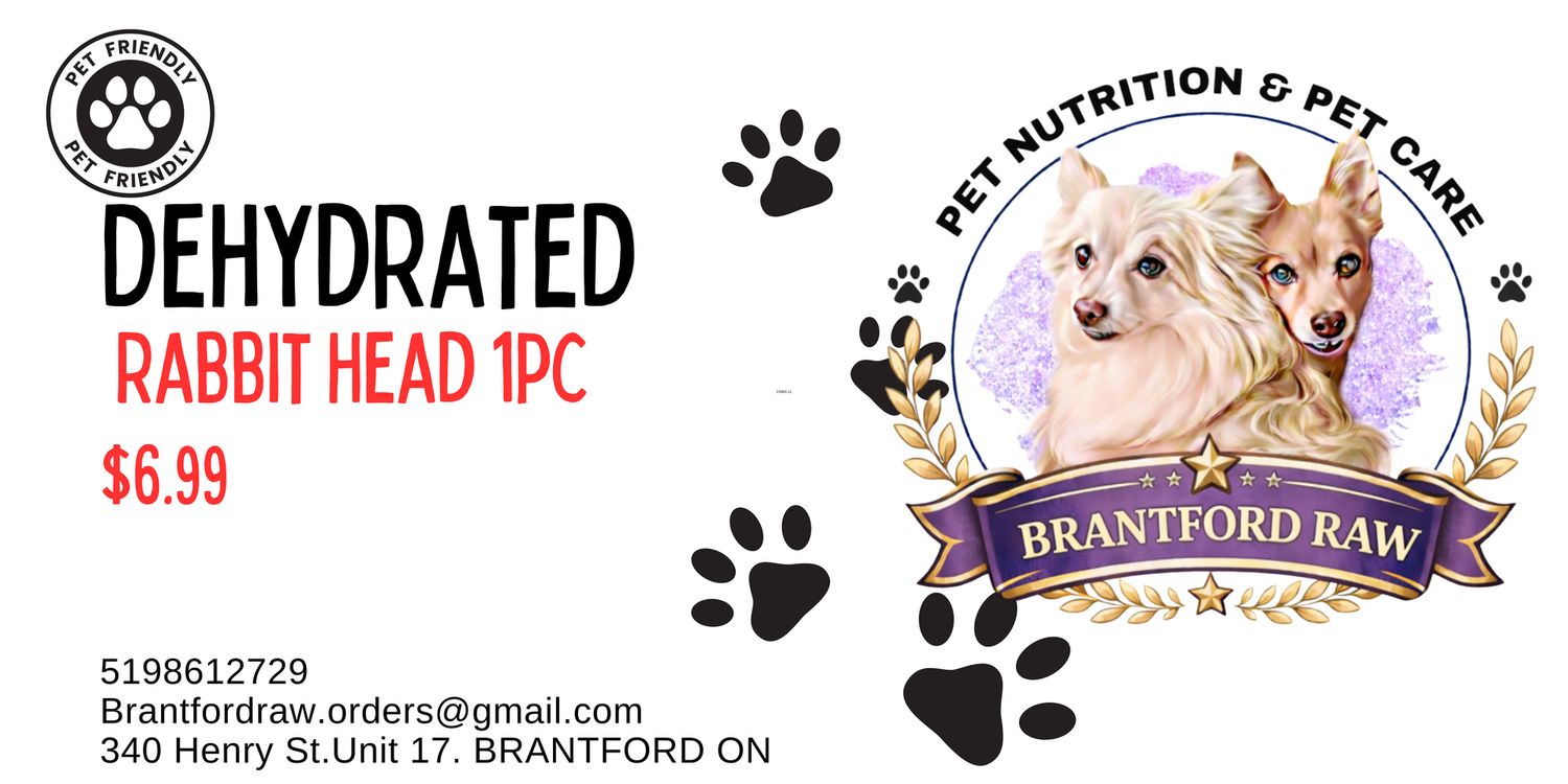 Dehydrated Rabbit Head