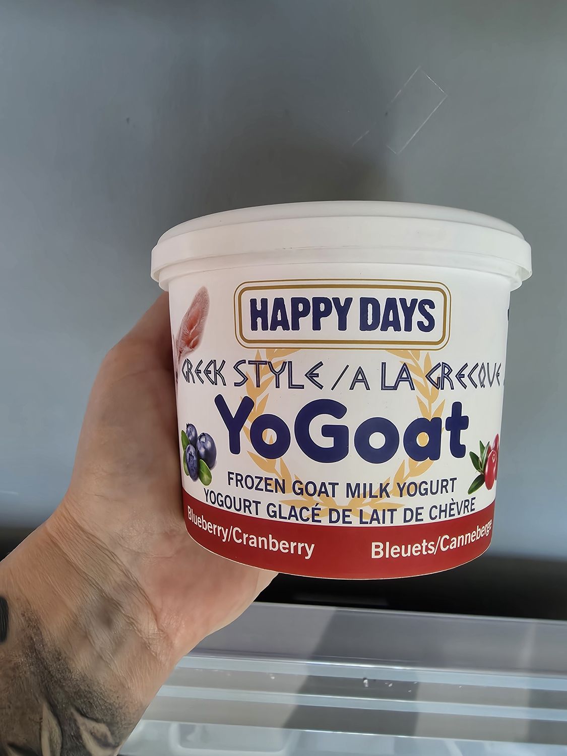HAPPY DAYS YoGoat Blueberry/Cranberry Greek Style Frozen Goat Milk Yogurt 475gm