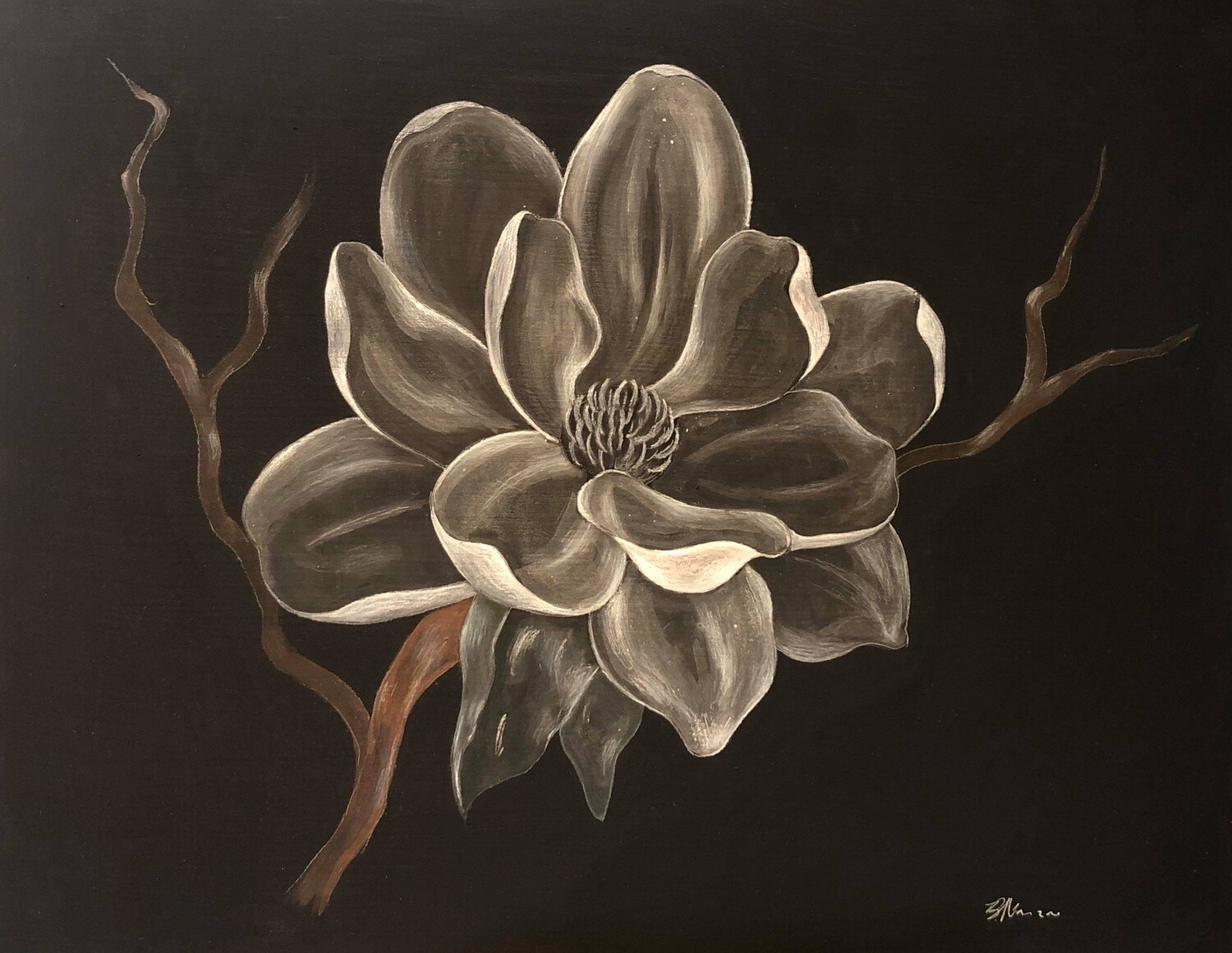 Magnolia II
