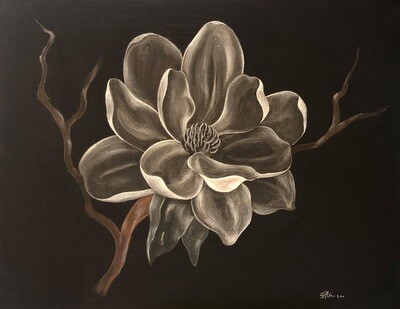 Magnolia II