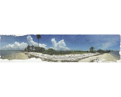 Intracoastal Spoil Island, Clearwater, Florida