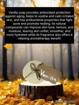 JOHN PAUL'S ESSENTIAL OIL SALTED VANILLA SOAP BAR