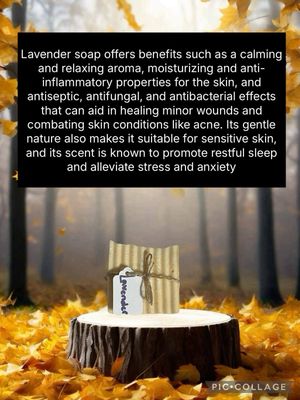 JOHN PAUL'S ESSENTIAL OIL SOAP - LAVENDER