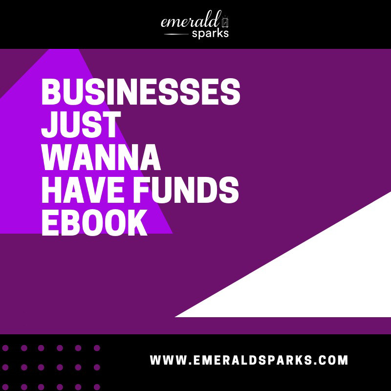 Businesses Just Wanna Have Funds Ebook