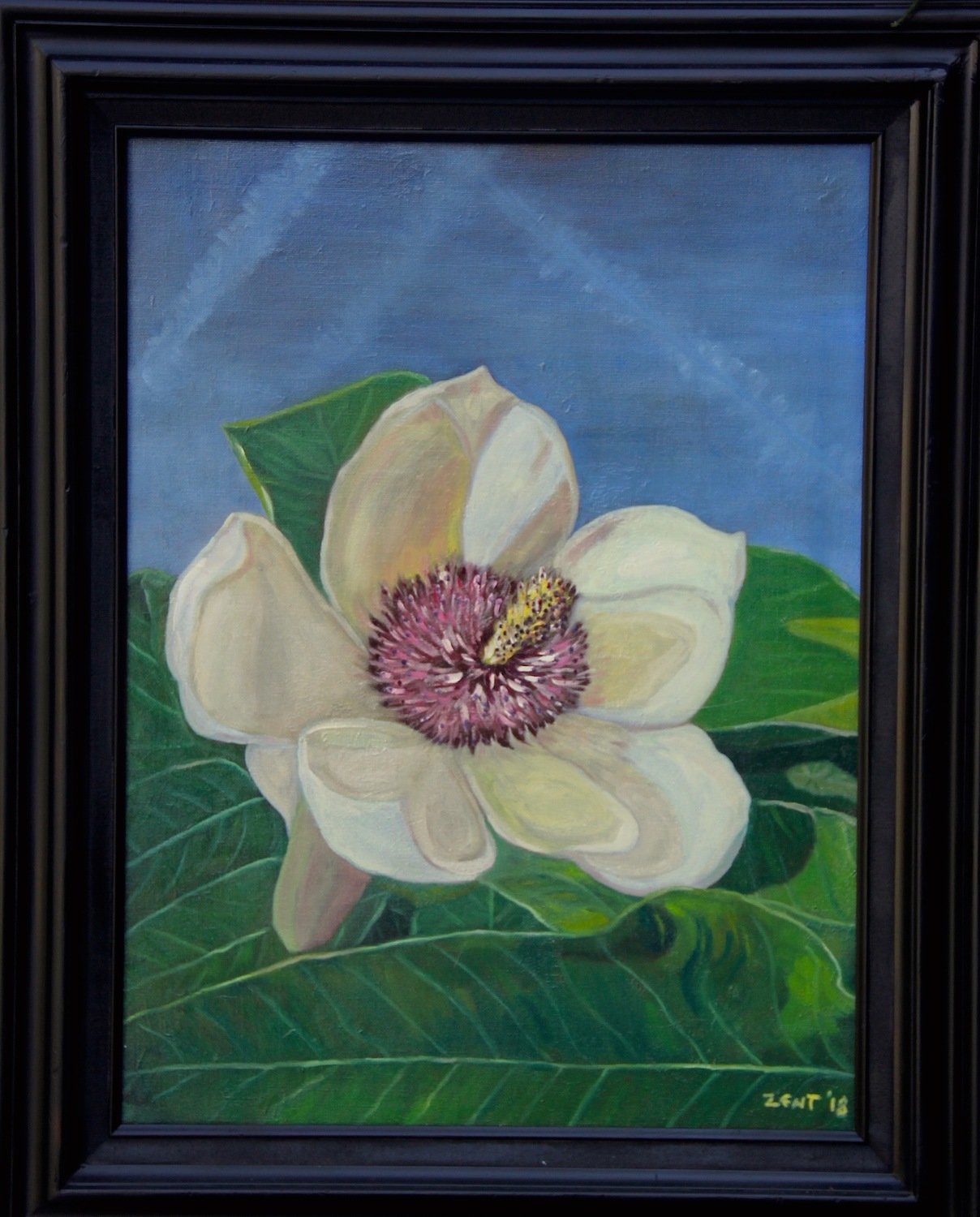 Contrails and Magnolia