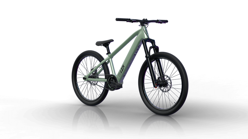 ONYX LZR 500 Watt ONYX LZR 500 Watt