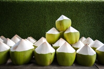 Peeled Coconut - Green, Young, Organic - 4 Nuts Peeled Coconut - Green, Young, Organic - 4 Nuts