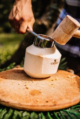 Coconut Opening Tools