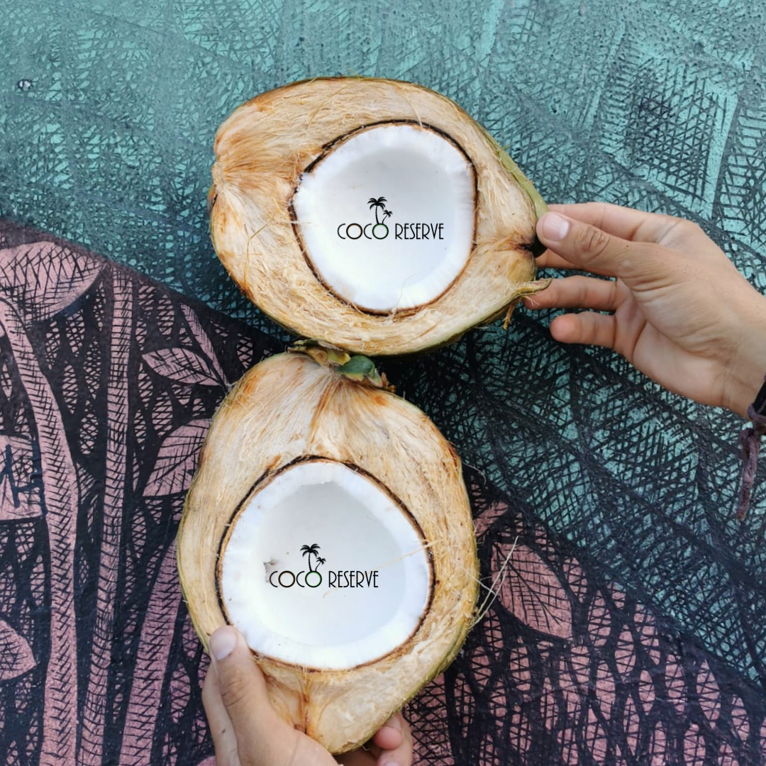 Fresh Coconuts, 8-9 Months Mature, Organic - Box of 4
