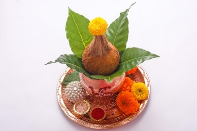 Pooja / Puja Ceremonial Coconuts - 4 Pack