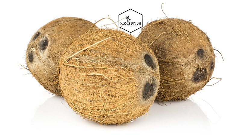 Fresh Coconut - Brown Mature Coco - rich coconut meat - 4pcs