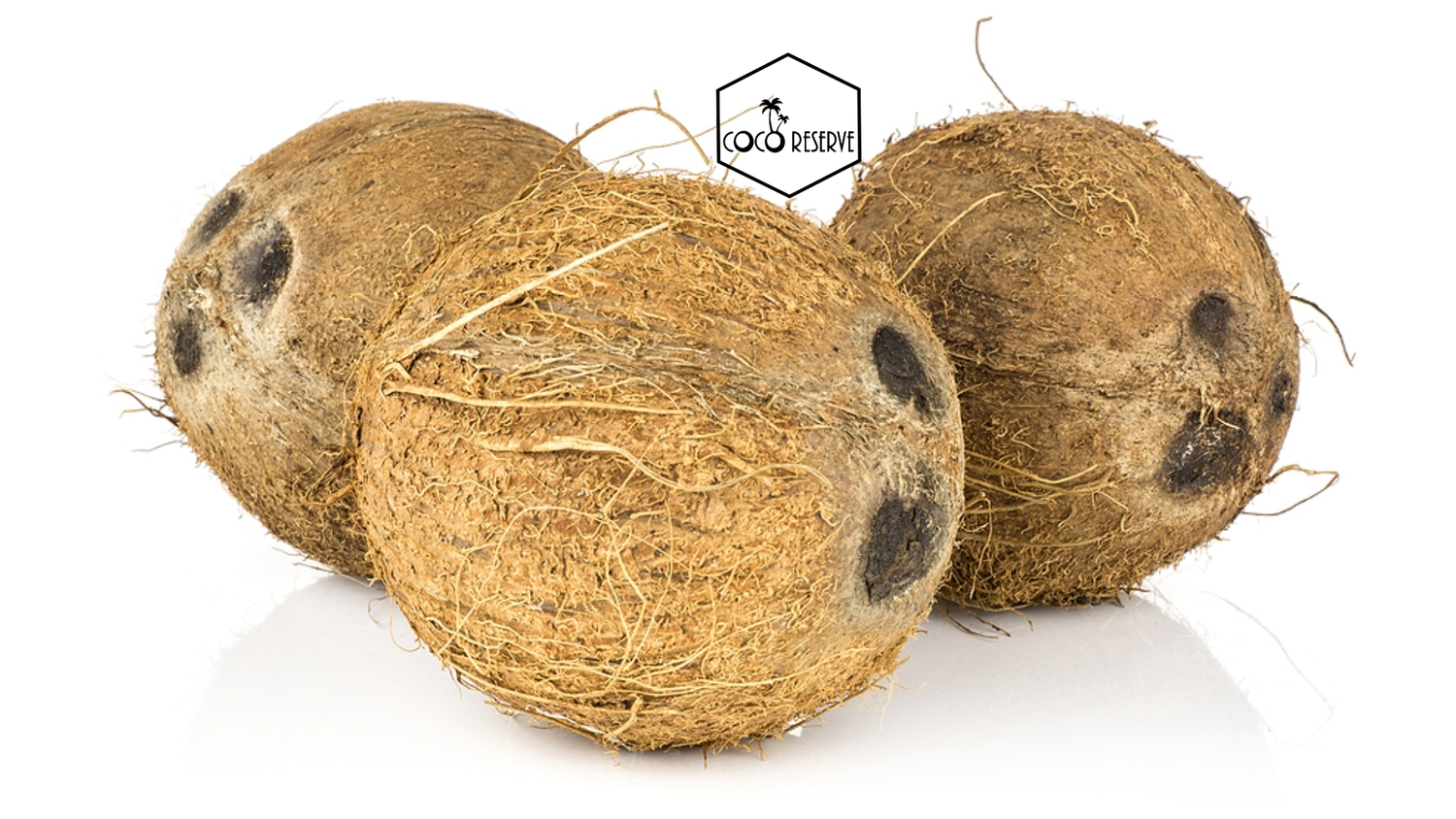 Fresh Coconut - Brown Mature Coco - rich coconut meat - 9pcs