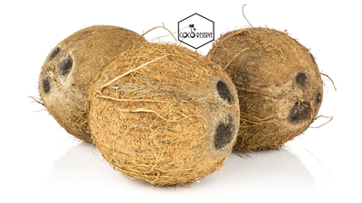 Brown Mature Coconuts - Mostly Coconut Meat