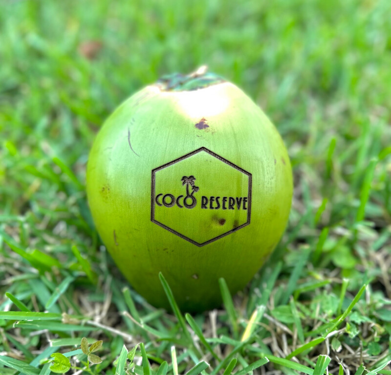 Fresh Young Coconut - Green - Box of 4