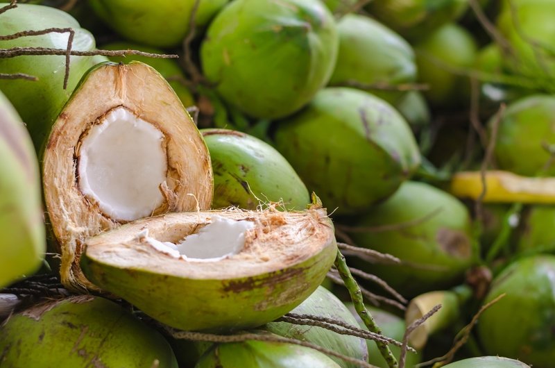 Fresh Coconuts, 8-9 Months Mature, Organic - Box of 4