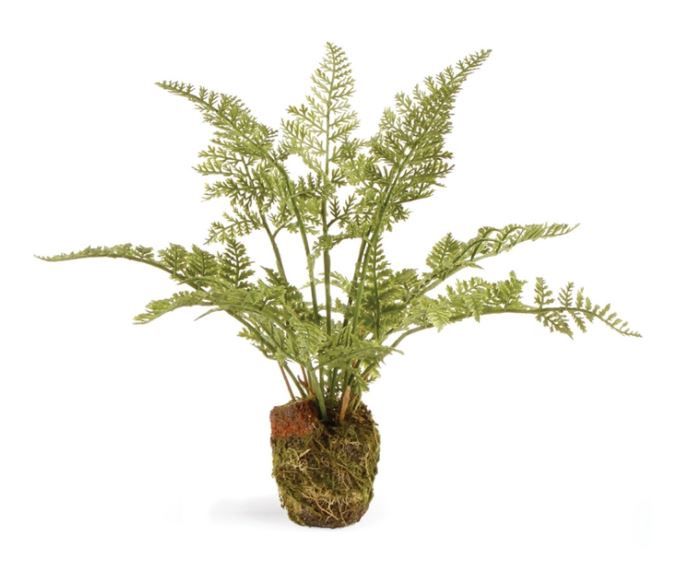 Soft Fern Drop-In
