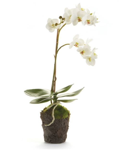 Orchid 17" Dropin Wht