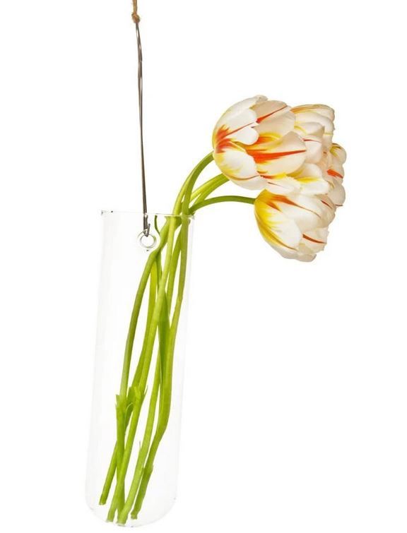Hanging Vases