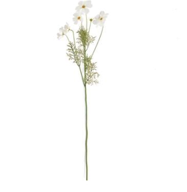 Cosmos 35" Stem