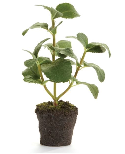 Mint 8" Dropin