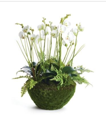 Orchid &amp; Fern 21"