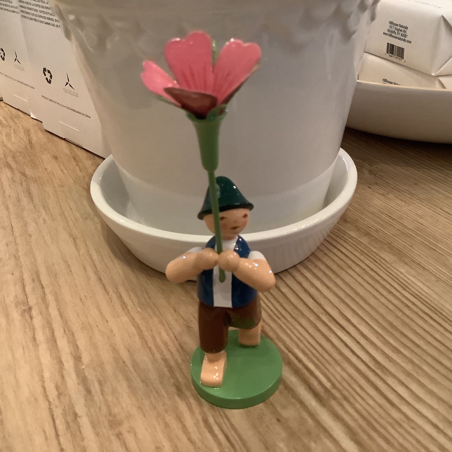 Boy with Corncockle