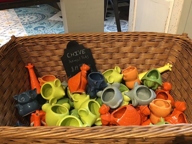 Animal Pots