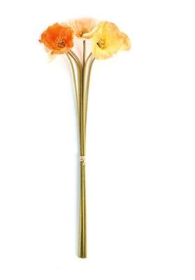 Poppy 27" Orange