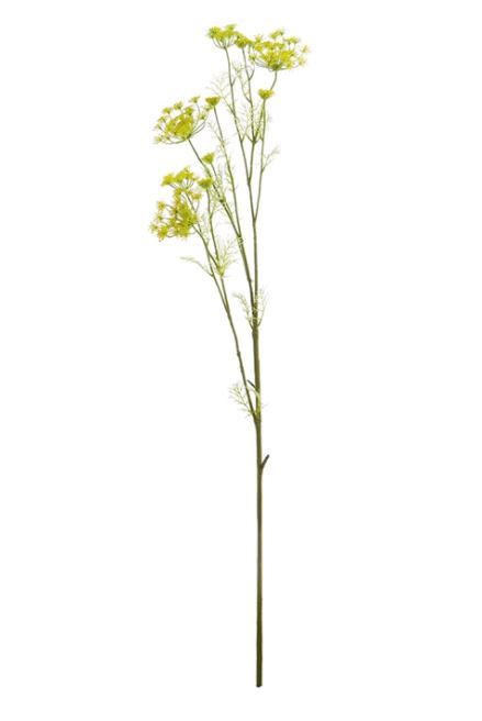 Anise Stem 28.5"