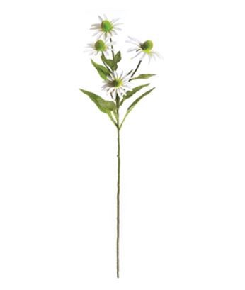 Echinacea Stem 29" White