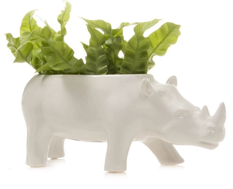 Rhinoceros Planter
