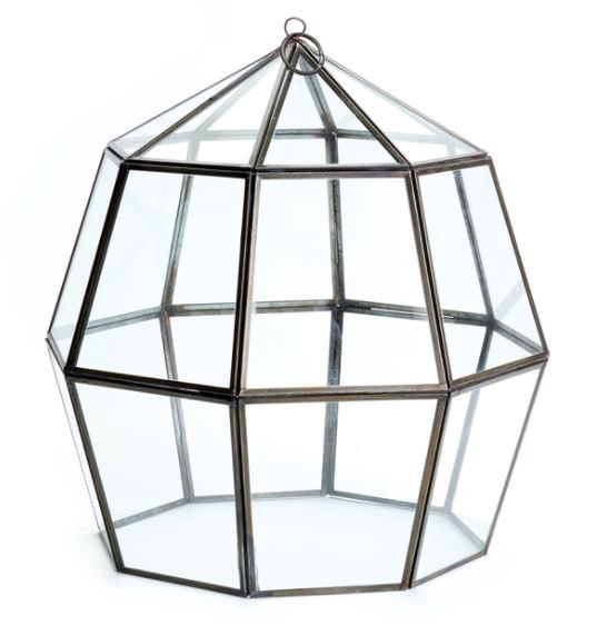Alexa Geometric Cloche