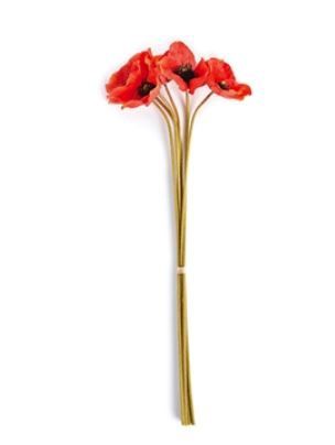 Poppy Red