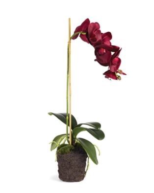 Orchid Drop-In 25"