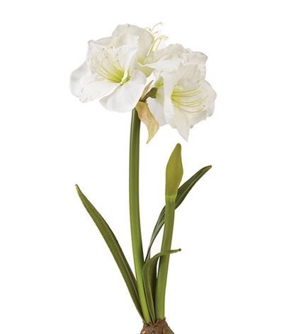 Amaryillis Drop-In 29"