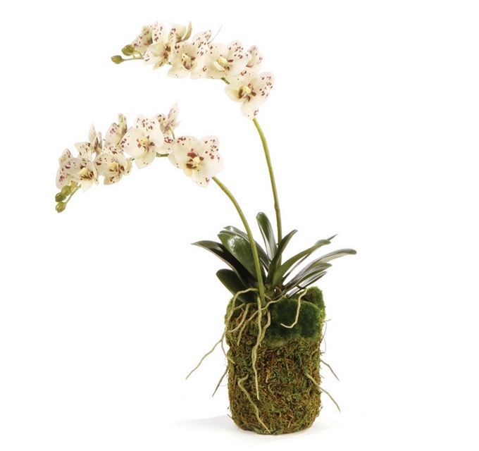 Orchid Drop-In 16"