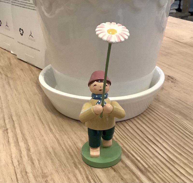 Boy with Daisy