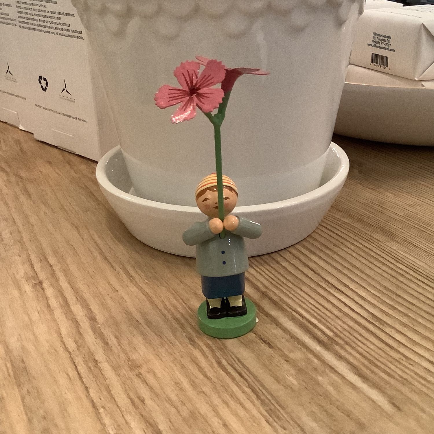 Boy with Carnation