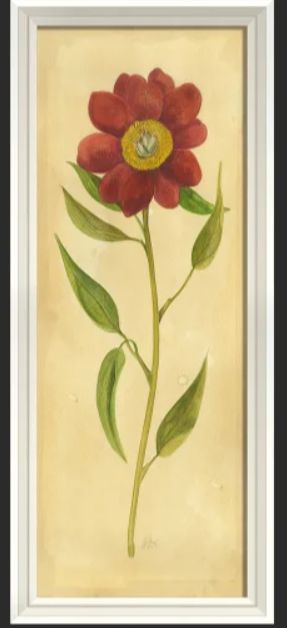 Kolene Spicher Flowers
