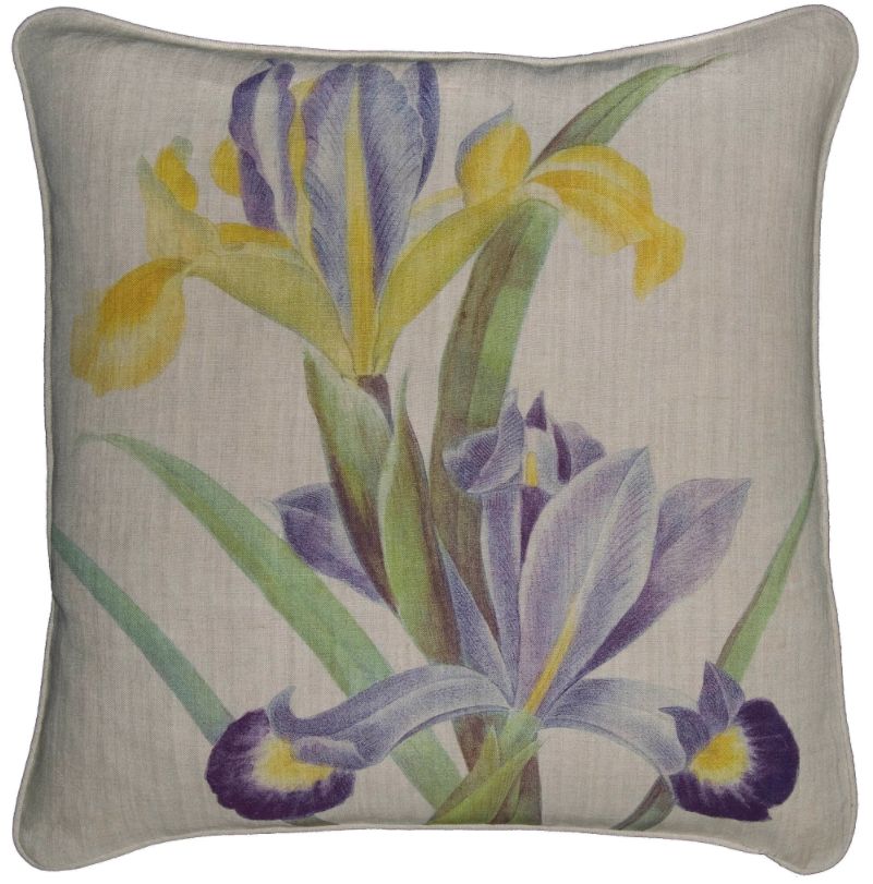 Painted Iris Pillow